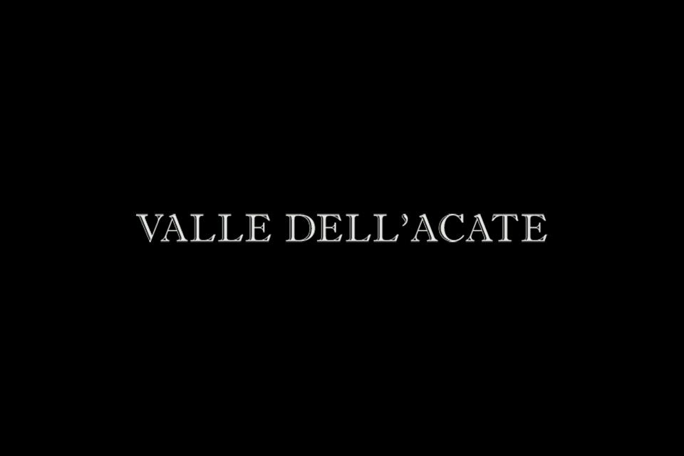 logo cantina valle dell'acate