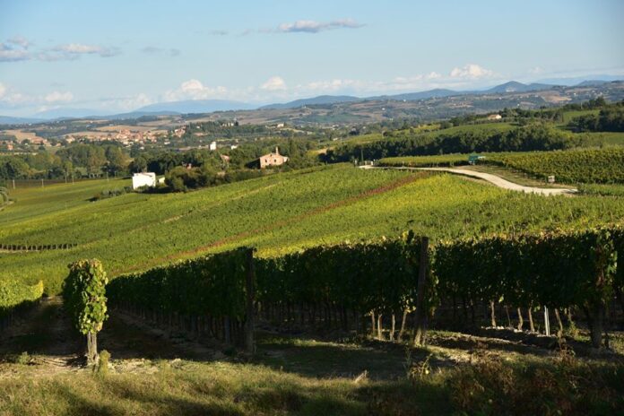 panorama la ciarliana