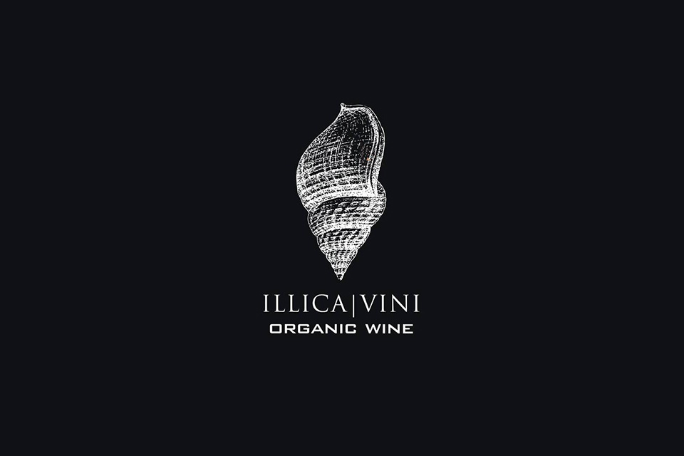 logo cantina illica