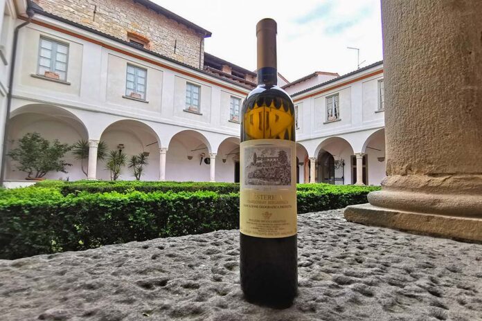 vini cantina castello degli angeli