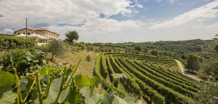 Tenuta Astoria Vini