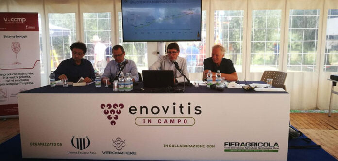 Enovitis 2017