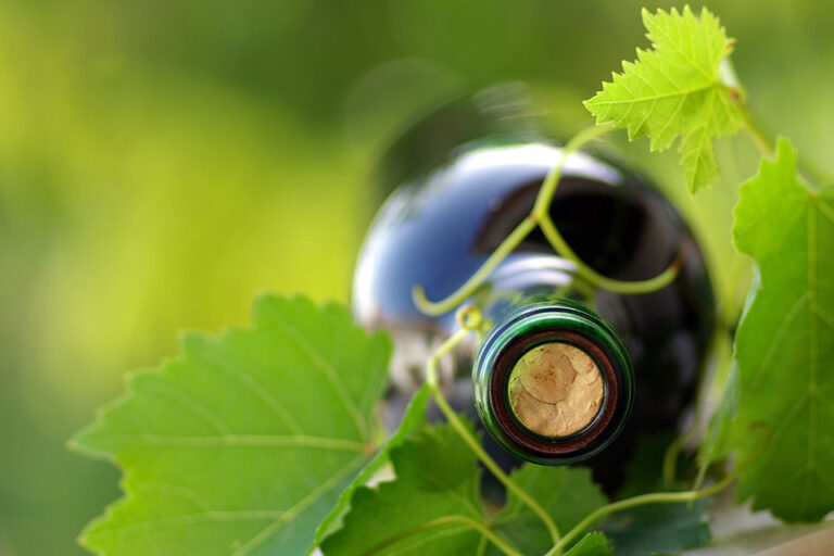 vino da agricoltura sostenibile