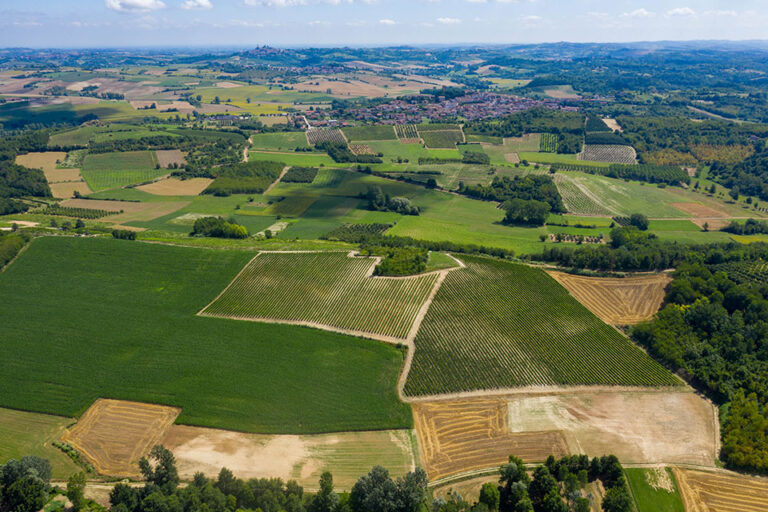 Ferraris Agricola Castelletto di Montemagno