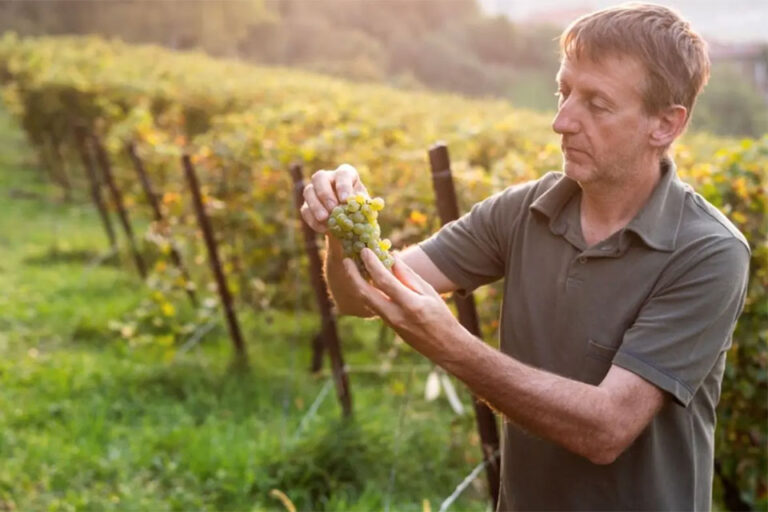 Marco Locatelli Consorzio Tutela Valcalepio