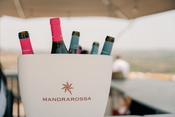 Mandrarossa Vineyard Tour 2024