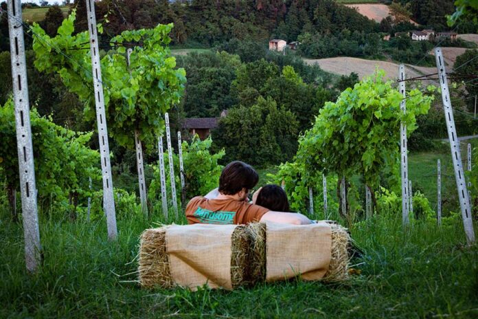 Picnic in vigna presso la cantina La Ciocca