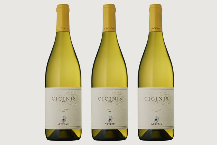 Cicinis 2023 Sauvignon Blanc Attems