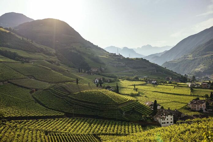 vigneti alto adige