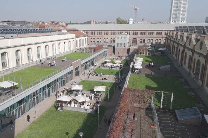 Campus Grapes la vigna urbana del Politecnico di Torino