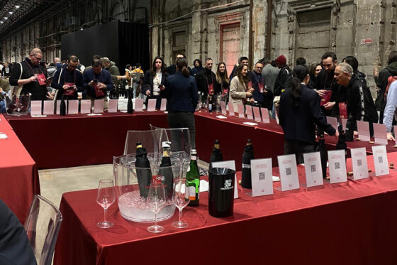 Proposta Vini chiude il 2024 con un aumento di fatturato