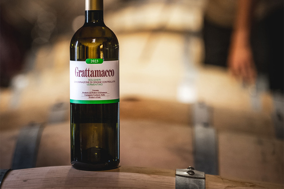 Grattamacco Bianco Bolgheri DOC Vermentino 2023