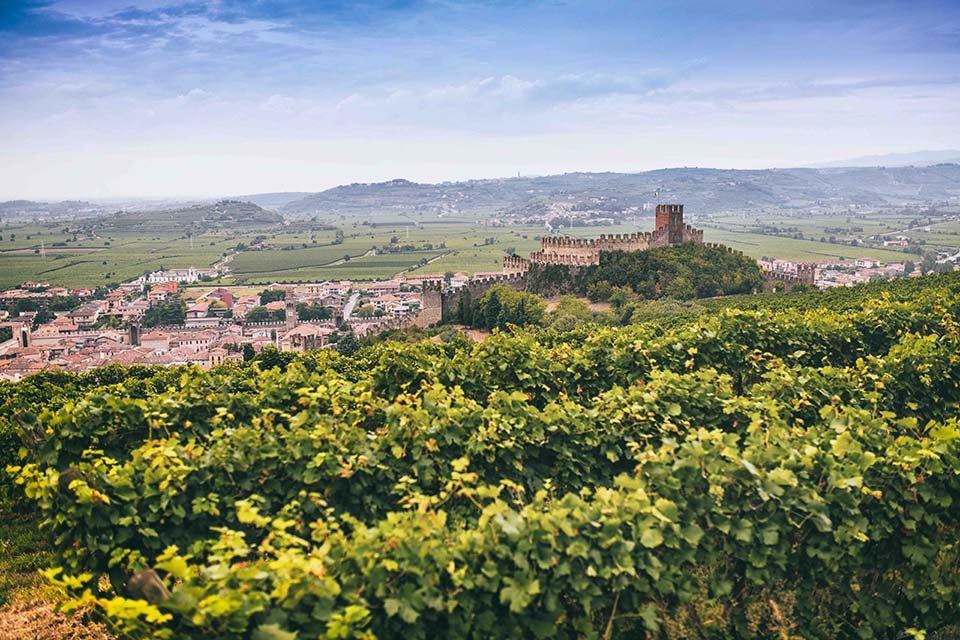 Soave