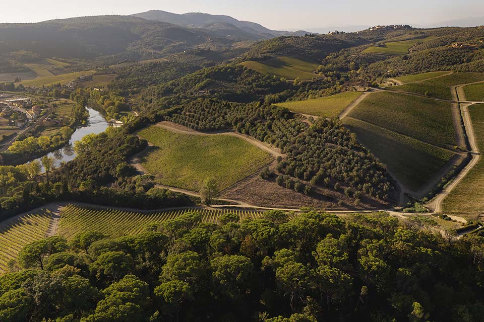 Zonazione dei vigneti di Tenuta di Artimino